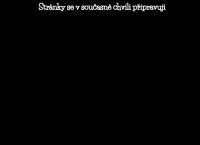 V.m.p. Mobil S.r.o.
