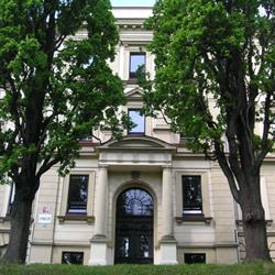 Gymnázium