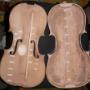 Pragueviolin