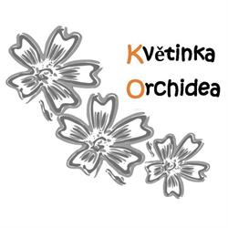 Orchidea