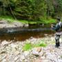 # 3