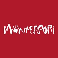 International Montessori School Of Prague