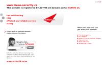 BESO Security team