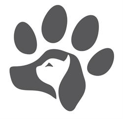 Animal Clinic