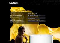 Kaldewei CS, s.r.o.