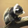 Zoologická a botanická zahrada města Plzně