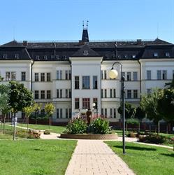 Psychiatrická nemocnice Kosmonosy