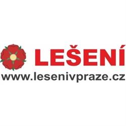 Lešení Rožumberg