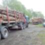 # 2