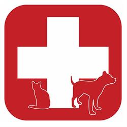 Veterinář - MVDr. Jiří Šlemenda