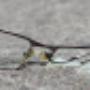 OPTIKA CVIKR