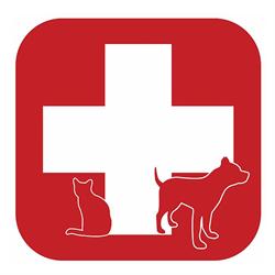 MVDr. Hana Kozojedová - veterinární lékař