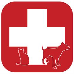 Veterinární ordinace - MVDr. Jan Chvátal
