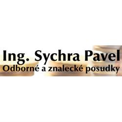 EXPERTUS - Ing. Pavel Sychra