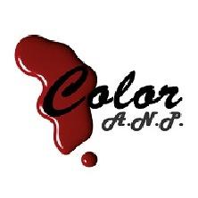 Color A.N.P. s.r.o. - lakování aut