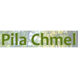 Pila - Zbyněk Chmel