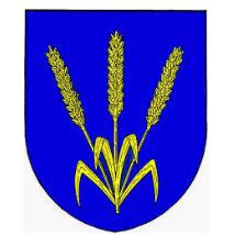 Obec Domašov