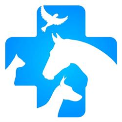 Veterinární ordinace Strakonice - MVDr. Karel Faměra