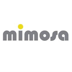 MIMOSA KVĚTINY
