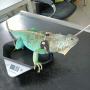 # 64