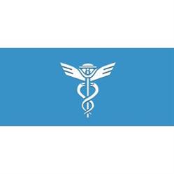 Celní služby - intrastat - DEKLARACE ZR