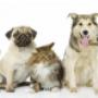 # 3