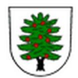 Obec Tis