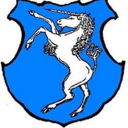 Město Žirovnice