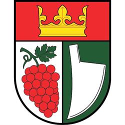 Obec Josefov