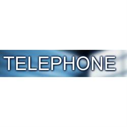 David Vídeňský - TELEPHONE