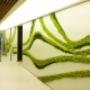 mosswall