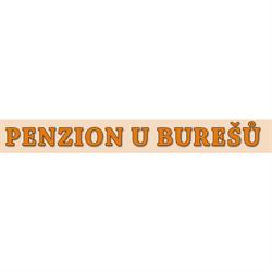 Penzion u Burešů - Anna Burešová