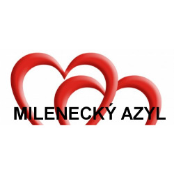 Milenecký azyl České Budějovice