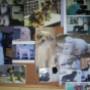 Veterinární ordinace Česká Lípa