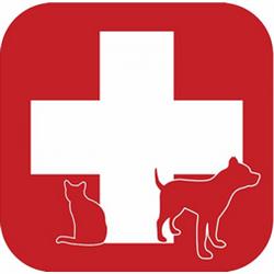 MVDr. SOUKUP - VETERINÁRNÍ LÉKAŘ