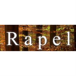 RAPEL, spol. s r.o. - výroba a prodej palivového dřeva a řeziva