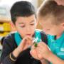 Prague British International School - primary school
