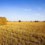 # 2