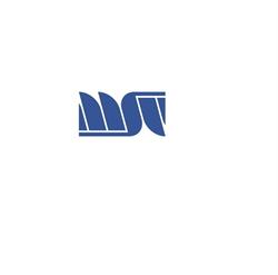MSV elektronika s.r.o.