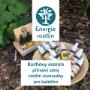 Bachovy esence Energie rostlin