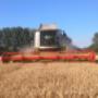 Jan Voců-JVP Harvest