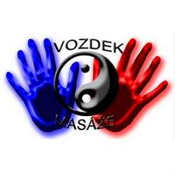 Pavel Vozdek