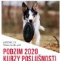 Kontaktujte nás, kurzy poslušnosti pro veřejnost.