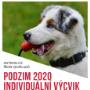 Kontaktujte nás, individuální výcvik jen pro Vás.