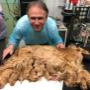 Veterinární ordinace Májek Petr MVDr.