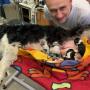 Veterinární ordinace Májek Petr MVDr.