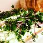 Prague Microgreens Farm s.r.o.