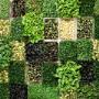 Prague Microgreens Farm s.r.o.