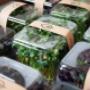 Prague Microgreens Farm s.r.o.