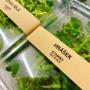 Prague Microgreens Farm s.r.o.